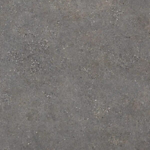 Neolith Wulong